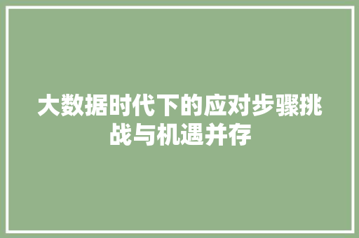 大数据时代下的应对步骤挑战与机遇并存