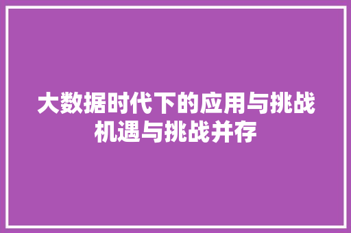 大数据时代下的应用与挑战机遇与挑战并存