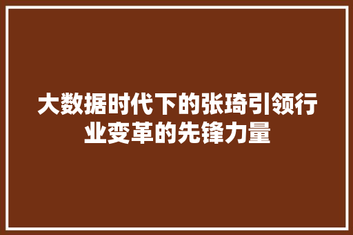 大数据时代下的张琦引领行业变革的先锋力量