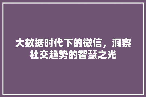 大数据时代下的微信，洞察社交趋势的智慧之光