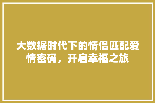 大数据时代下的情侣匹配爱情密码，开启幸福之旅