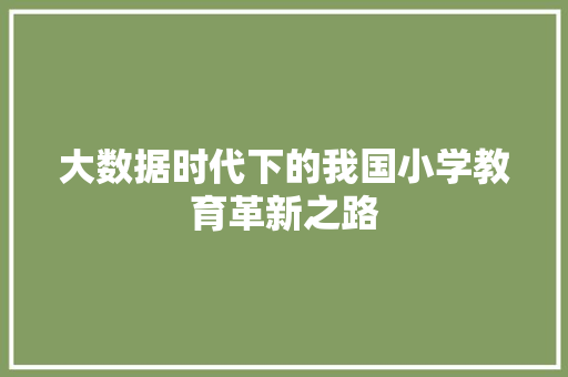 大数据时代下的我国小学教育革新之路