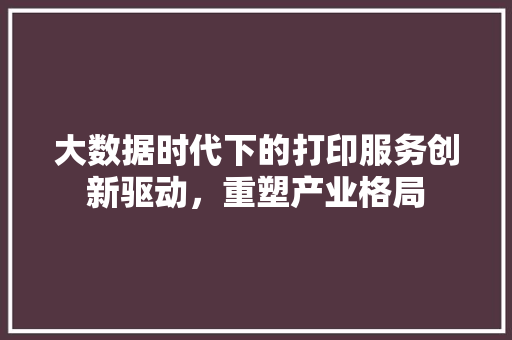 大数据时代下的打印服务创新驱动，重塑产业格局