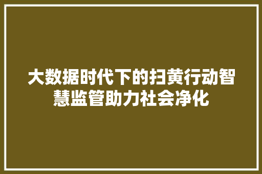大数据时代下的扫黄行动智慧监管助力社会净化
