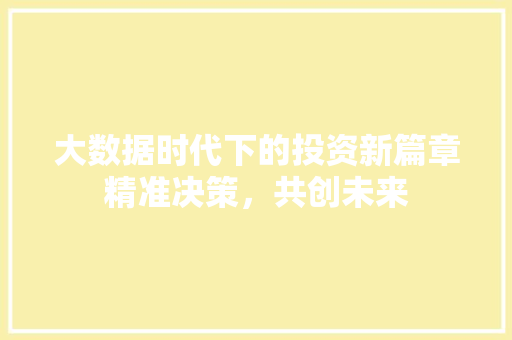 大数据时代下的投资新篇章精准决策，共创未来