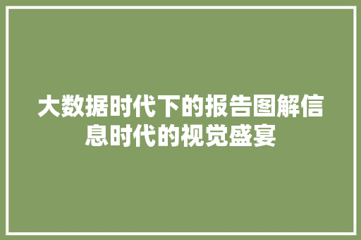 大数据时代下的报告图解信息时代的视觉盛宴