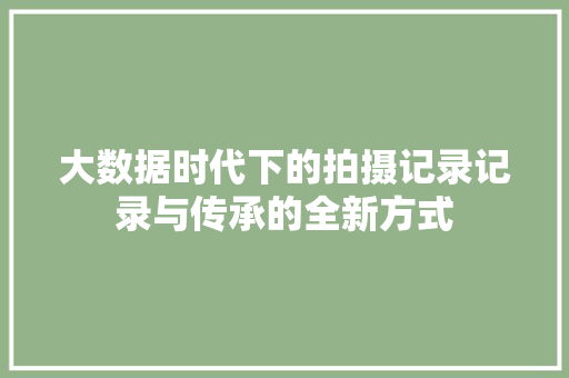 大数据时代下的拍摄记录记录与传承的全新方式