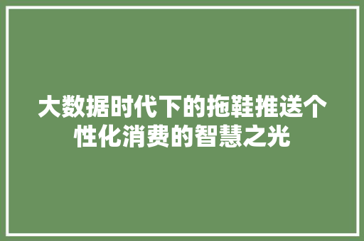 大数据时代下的拖鞋推送个性化消费的智慧之光