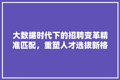 大数据时代下的招聘变革精准匹配，重塑人才选拔新格局