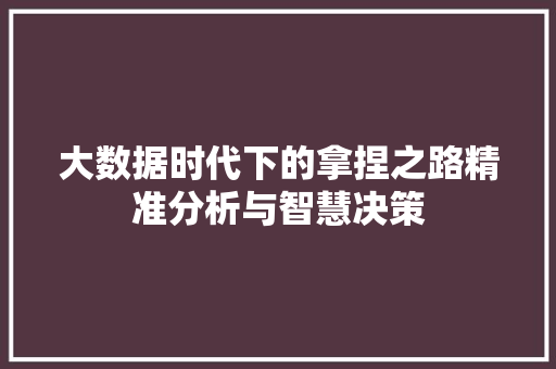 大数据时代下的拿捏之路精准分析与智慧决策