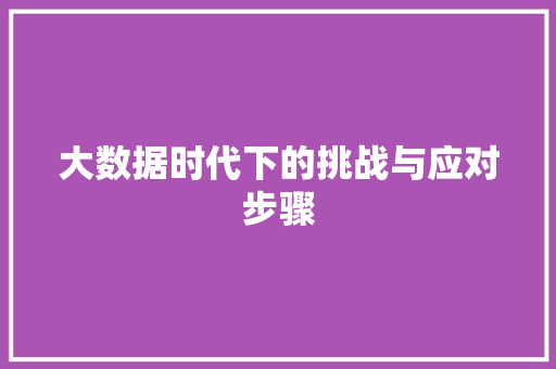 大数据时代下的挑战与应对步骤
