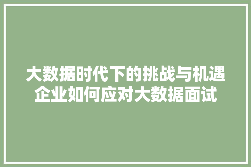 大数据时代下的挑战与机遇企业如何应对大数据面试