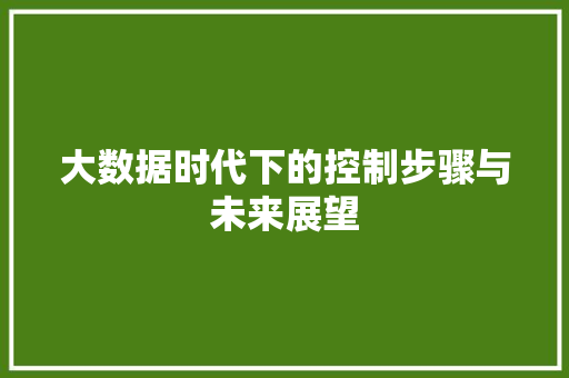 大数据时代下的控制步骤与未来展望