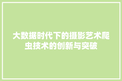 大数据时代下的摄影艺术爬虫技术的创新与突破