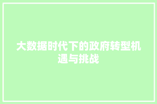 大数据时代下的政府转型机遇与挑战