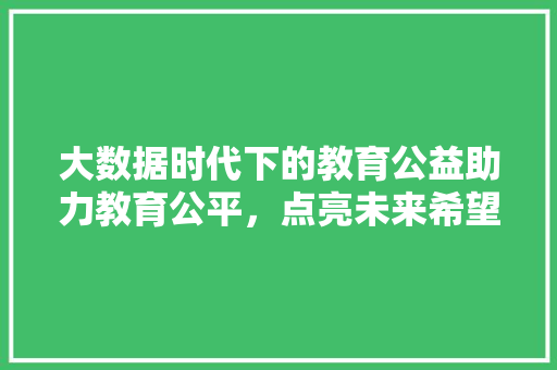 大数据时代下的教育公益助力教育公平，点亮未来希望 服务器/数据库