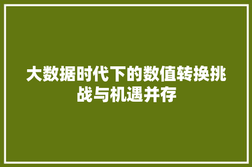 大数据时代下的数值转换挑战与机遇并存