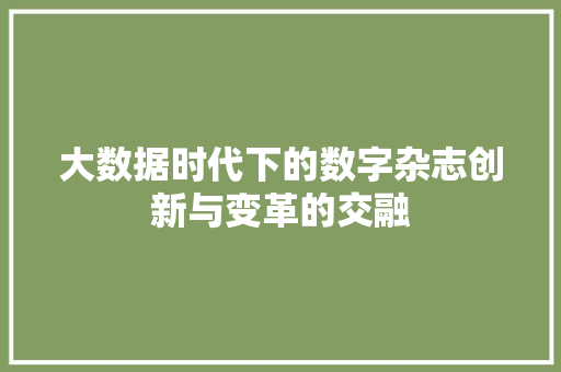 大数据时代下的数字杂志创新与变革的交融