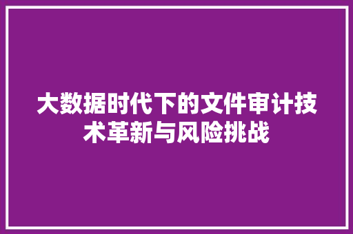 大数据时代下的文件审计技术革新与风险挑战