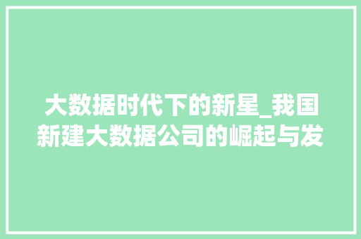 大数据时代下的新星_我国新建大数据公司的崛起与发展