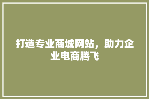 打造专业商城网站，助力企业电商腾飞