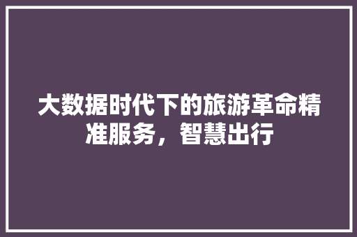 大数据时代下的旅游革命精准服务，智慧出行