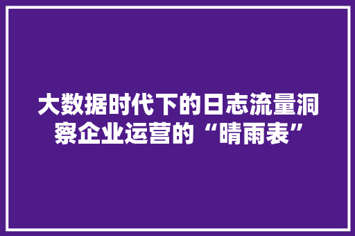 大数据时代下的日志流量洞察企业运营的“晴雨表”