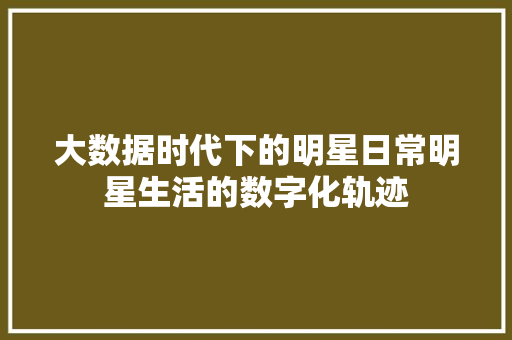 大数据时代下的明星日常明星生活的数字化轨迹