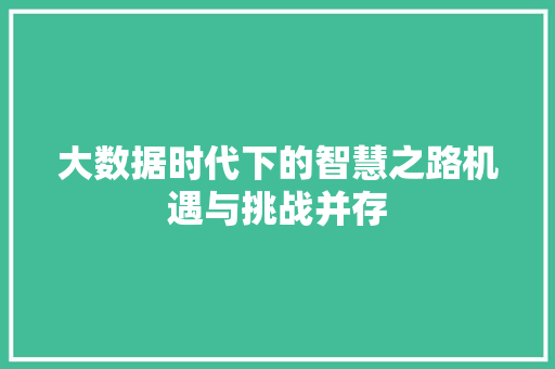 大数据时代下的智慧之路机遇与挑战并存