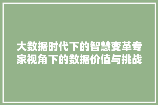 大数据时代下的智慧变革专家视角下的数据价值与挑战