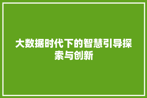 大数据时代下的智慧引导探索与创新