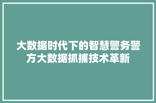大数据时代下的智慧警务警方大数据抓捕技术革新