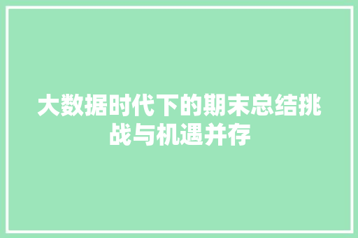 大数据时代下的期末总结挑战与机遇并存