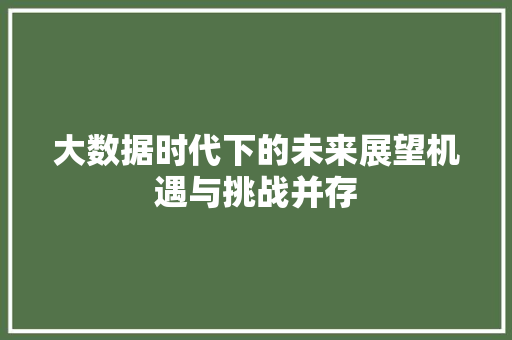 大数据时代下的未来展望机遇与挑战并存