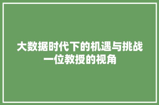 大数据时代下的机遇与挑战一位教授的视角