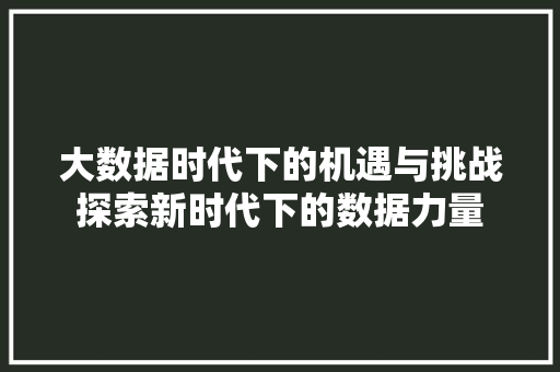 大数据时代下的机遇与挑战探索新时代下的数据力量