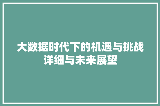 大数据时代下的机遇与挑战详细与未来展望 Web前端