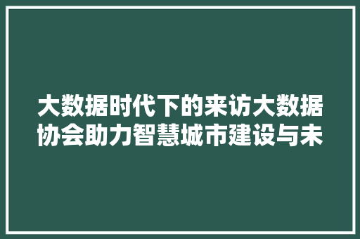 大数据时代下的来访大数据协会助力智慧城市建设与未来展望