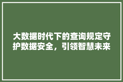 大数据时代下的查询规定守护数据安全，引领智慧未来