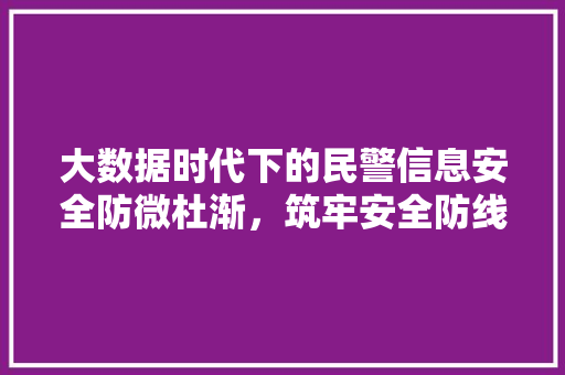 大数据时代下的民警信息安全防微杜渐，筑牢安全防线 建站教程