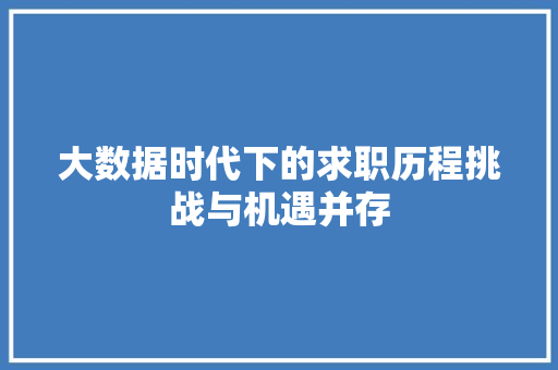 大数据时代下的求职历程挑战与机遇并存
