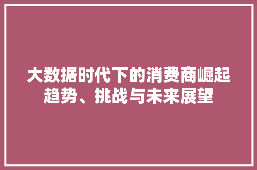 大数据时代下的消费商崛起趋势、挑战与未来展望