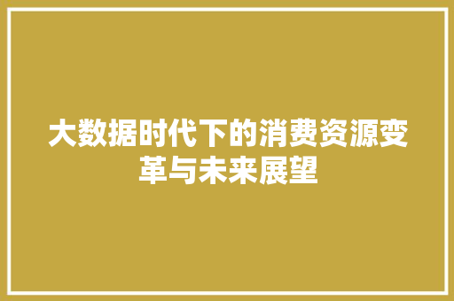 大数据时代下的消费资源变革与未来展望