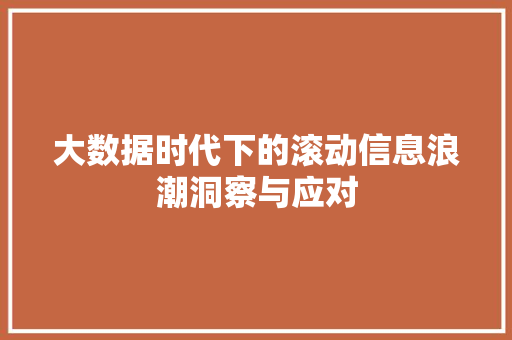 大数据时代下的滚动信息浪潮洞察与应对