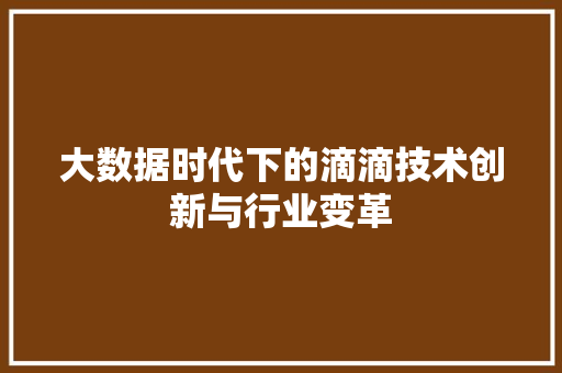 大数据时代下的滴滴技术创新与行业变革