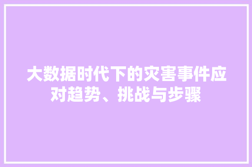 大数据时代下的灾害事件应对趋势、挑战与步骤