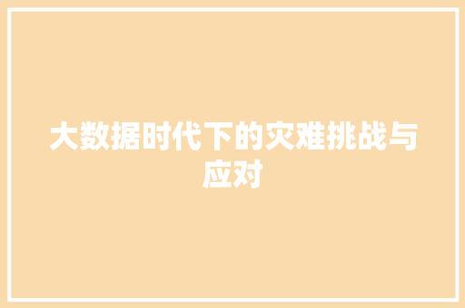 大数据时代下的灾难挑战与应对