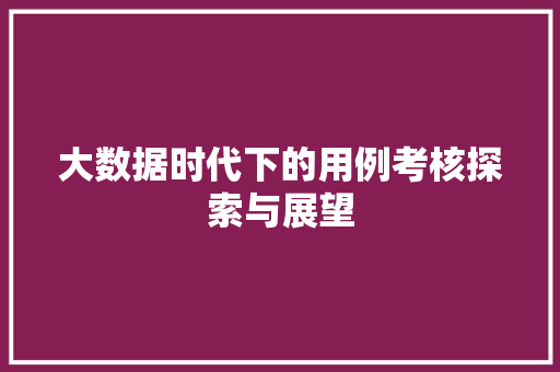 大数据时代下的用例考核探索与展望