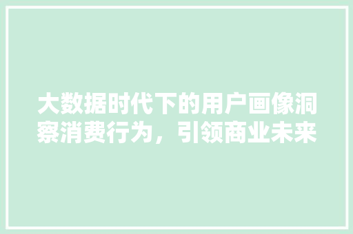 大数据时代下的用户画像洞察消费行为，引领商业未来