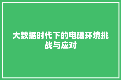 大数据时代下的电磁环境挑战与应对